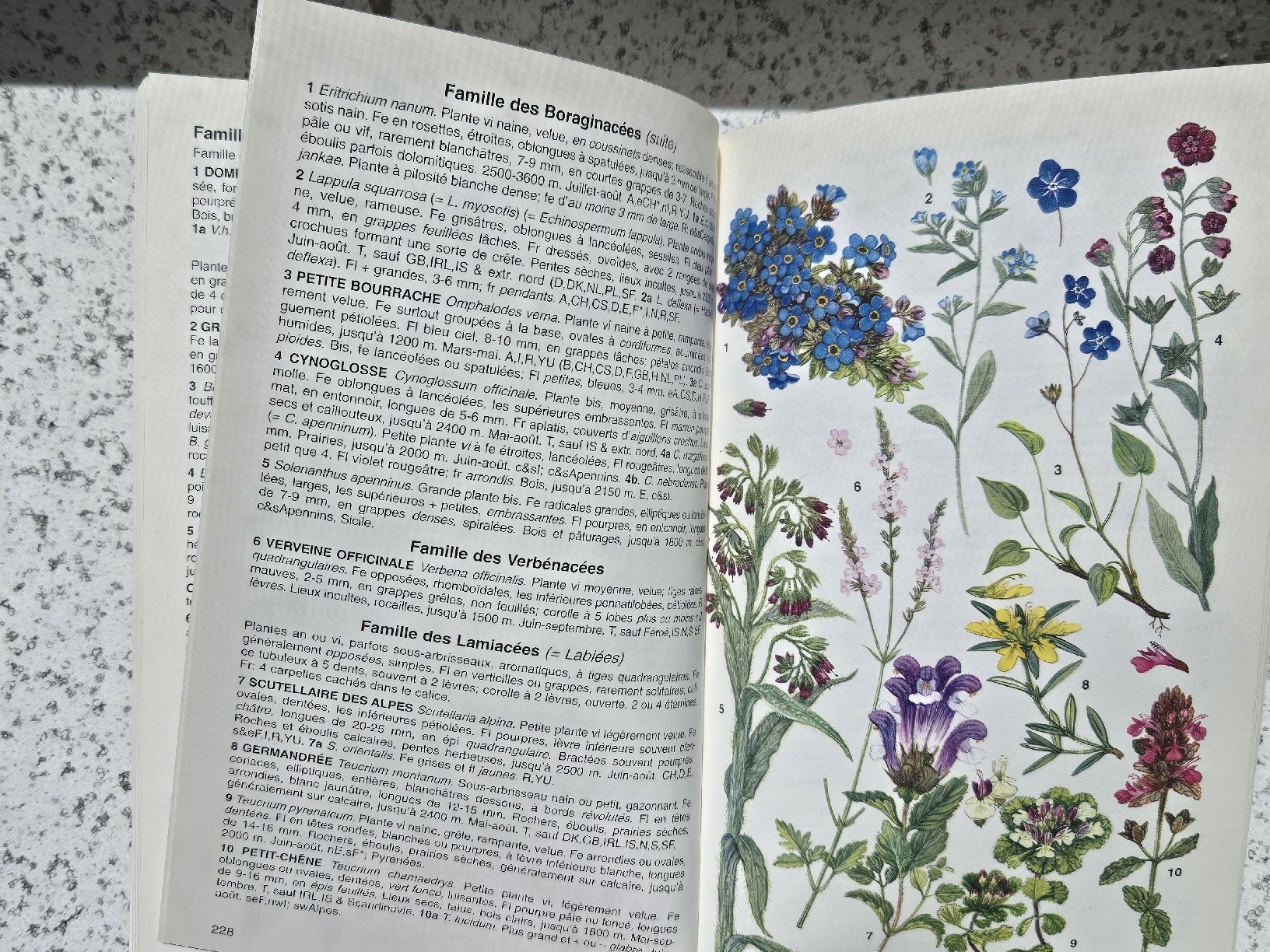 Libri: guide des fleurs de montagne – Usato da Montet (Broye) venduto da CandiceD 2