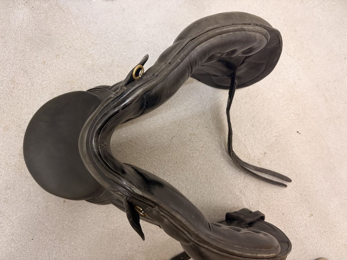 Selle & Accessori: Eric Thomas Dressursattel – Usato da Buttikon SZ venduto da van_7nm5 3