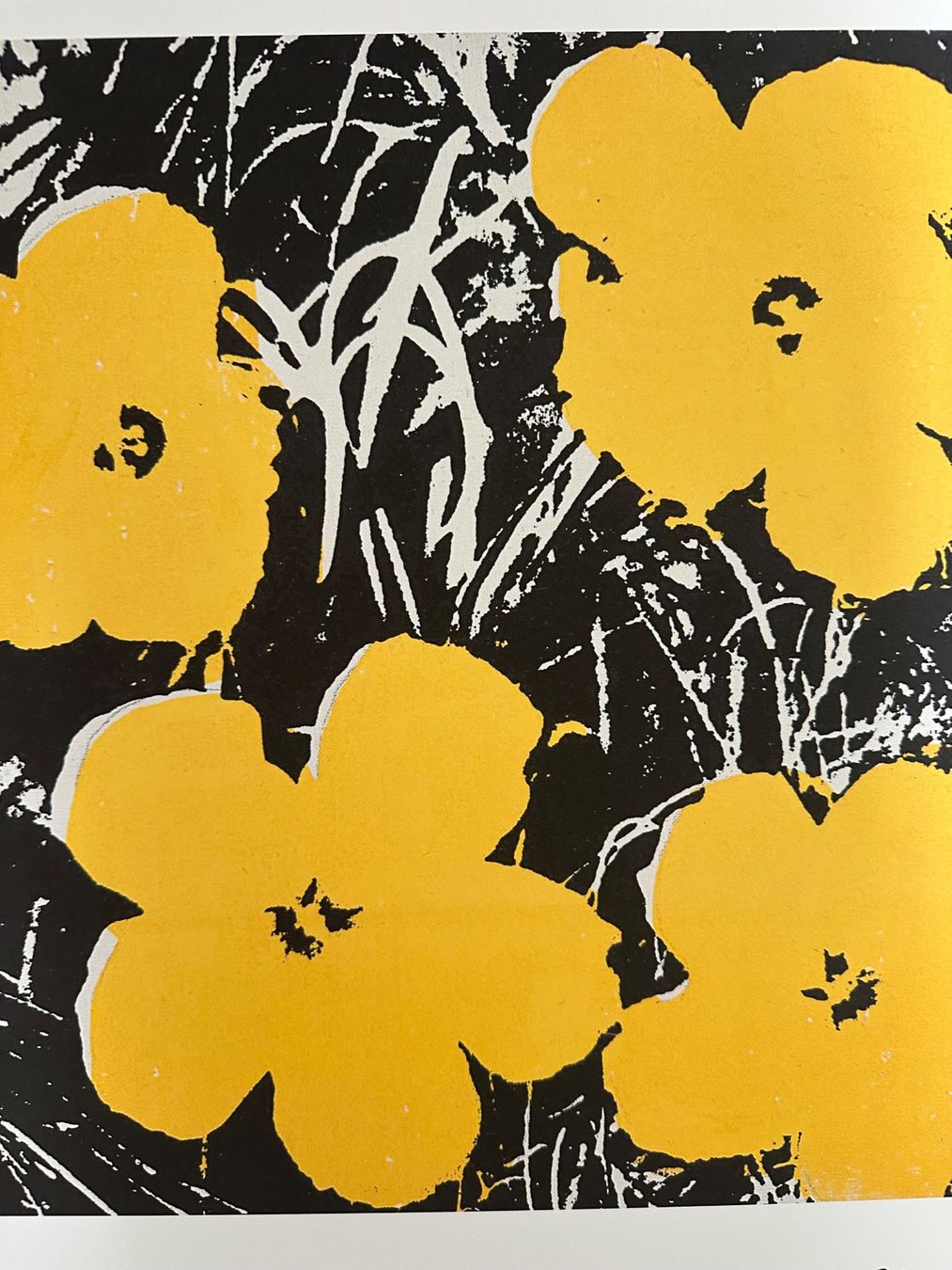 Foto & Immagini: Andy Warhol: Flowers 56/100 – Nuovo (secondo la descrizione) da Meilen venduto da Smgdesign 5