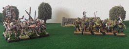 Warhammer Armata di Non Morti e Zombi