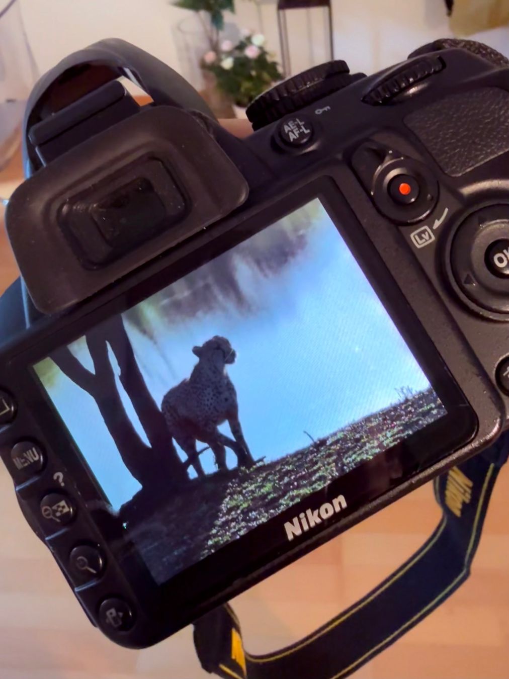Nikon Fotocamera: Nikon D3100 Digitalkam. mit Kamerarucksack&Objektiv – Usato da Zürich venduto da crosstrainer02 1