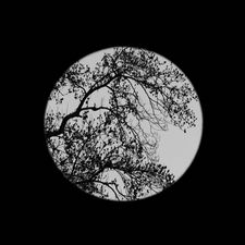 Profile image of tvo666