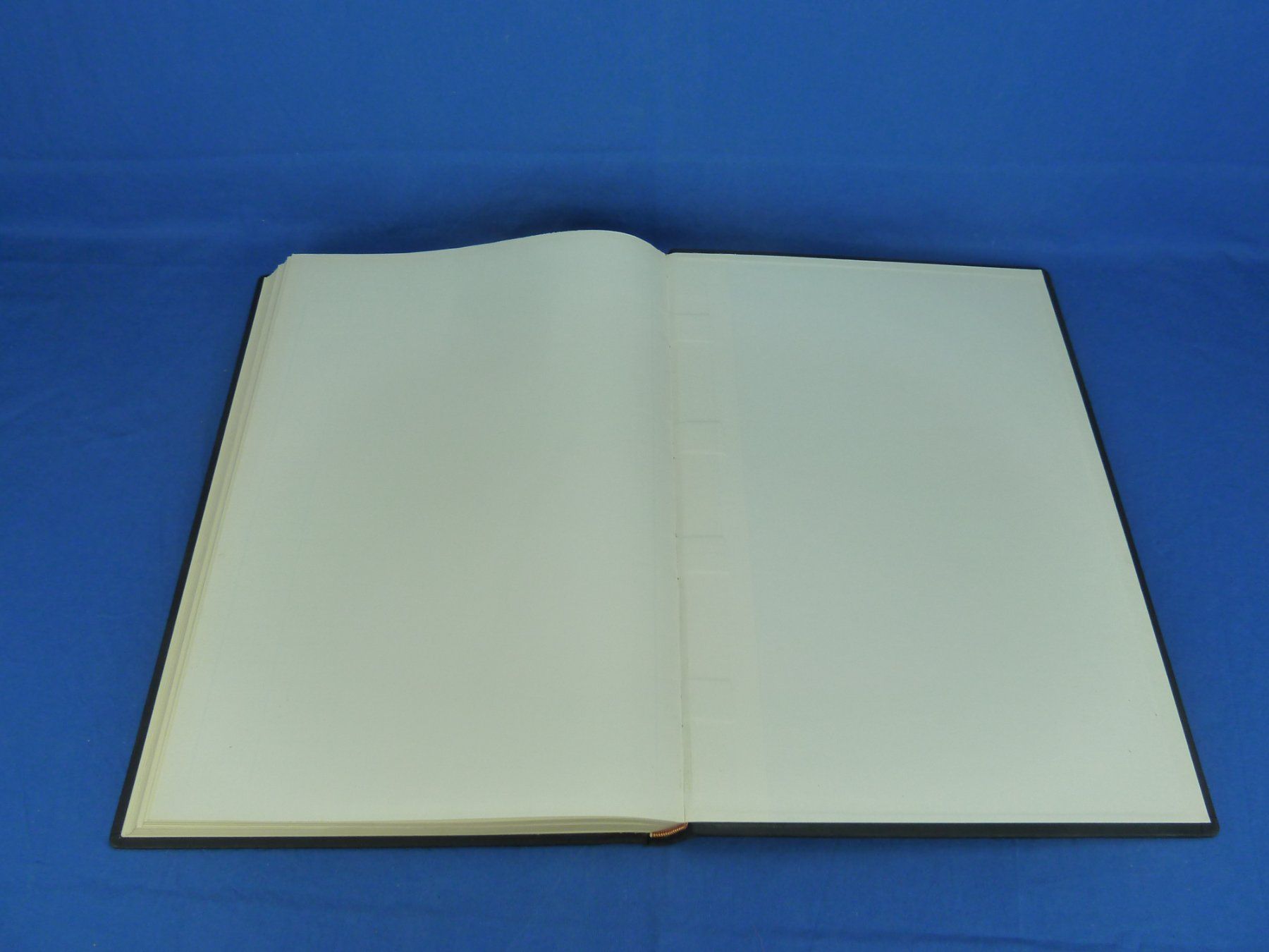 Libri: Antikes Kassenbuch – Usato da Schlattingen venduto da Compubert 9