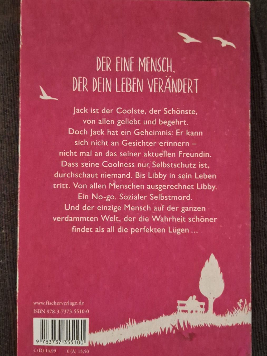Libri: Jennifer Niven: Stell dir vor, dass ich dich liebe – Usato da Neuhausen am Rheinfall venduto da Alchimista 1