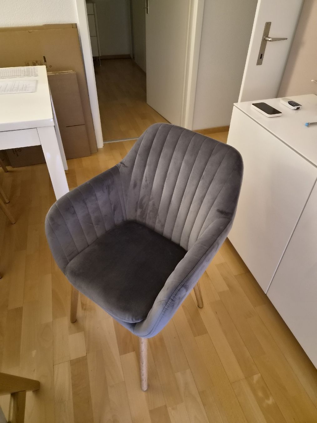 Poltrone: Sessel Samt grau neuwertig 6x – Nuovo (secondo la descrizione) da Zürich venduto da Metin_48 2