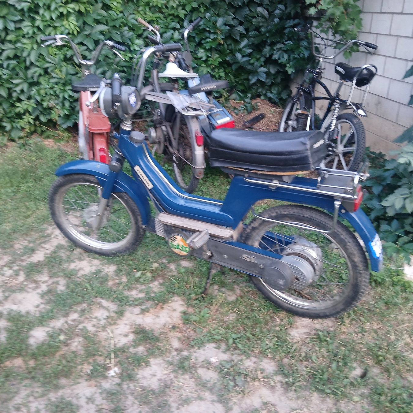 Piaggio Ciclomotori: Mofa Piaggio SI Mono mit Ausweis – Usato da Balsthal venduto da redcarpet 5