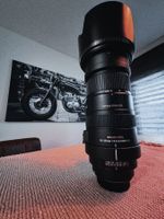 Sigma DG 50-500mm  1:4,5-6,3 APO HSM für Canon EF-Mount