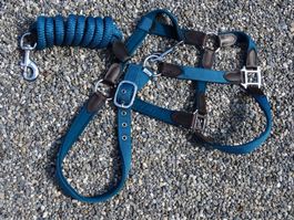 NEU!schönes Spazierhalfter Halfter Stallhalfter Führseil COB