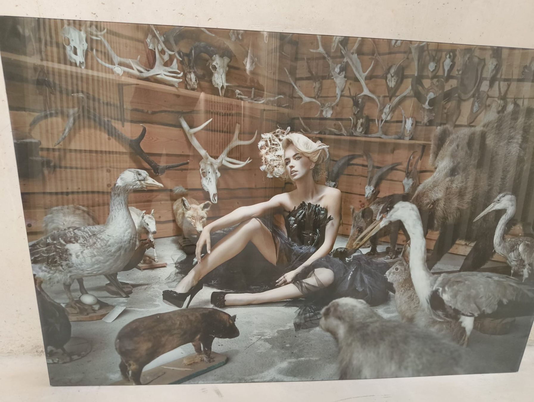 Poster & Bilder: Kare Glasbild 100x150cm – Neu (gemäss Beschreibung) aus Sursee von michaelkelly 1