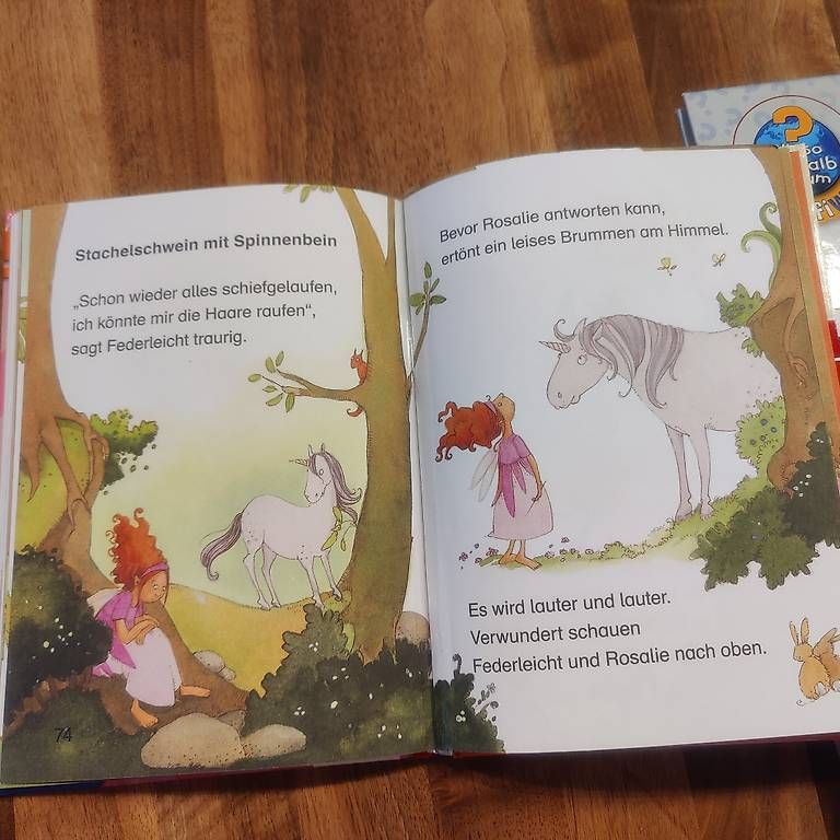 Bücher: Erstlesebücher – Gebraucht aus Rueras von fscw 3