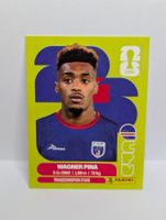 Panini WM 2026 - CPV 7 - Wagner PINA CAP VERT