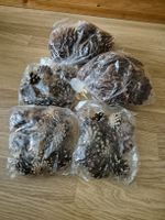 Tannenzapfen Zapfen Deko Basteln Weihnachten Herbst
