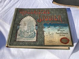 Malerische Studien Eine Reise um die Welt um 1900