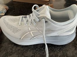 Asics Gel Kayano 31 Laufschuhe