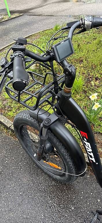Elektromobile: Elektro Trikle – Gebraucht aus Lyssach von Hoferbike 2