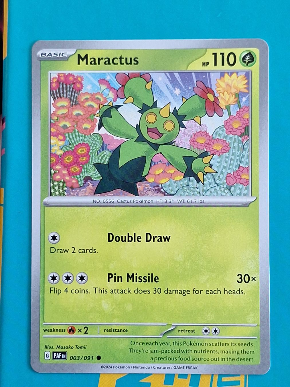 Pokémon Carte collezionabili: Maractus - Pokemon Paldean Fates – Usato da Altstätten SG venduto da GGsGameshop