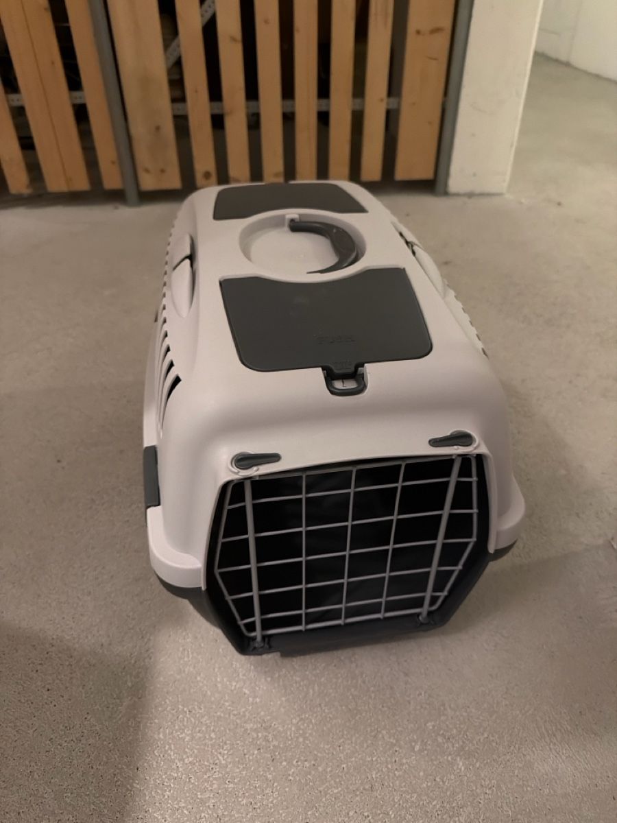 Cucce & Letti: katzenbox – Usato da Schlieren venduto da daf_cw5k
