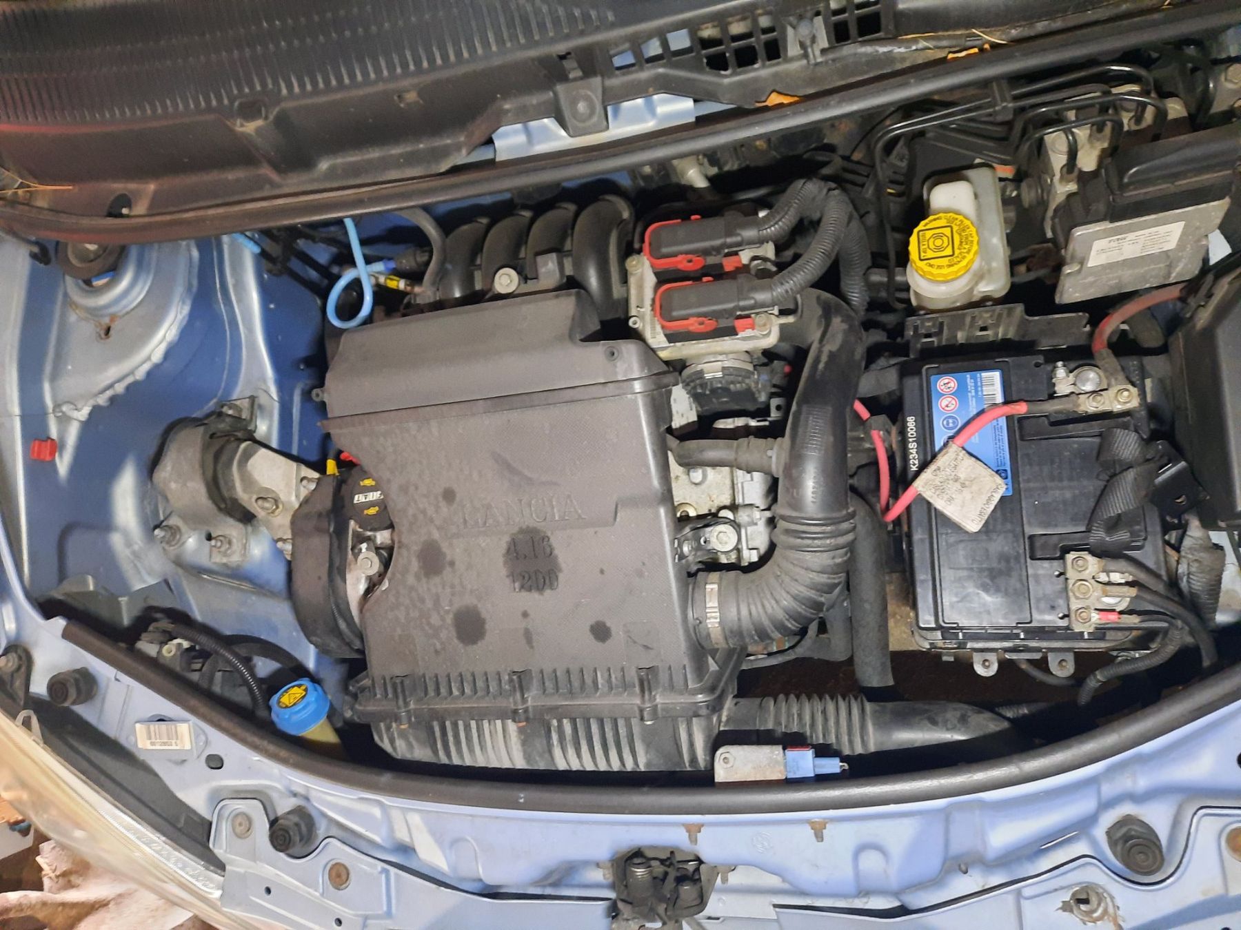 Lancia Autos: Lancia Ypsilon – Gebraucht aus Sargans von sonja042 5