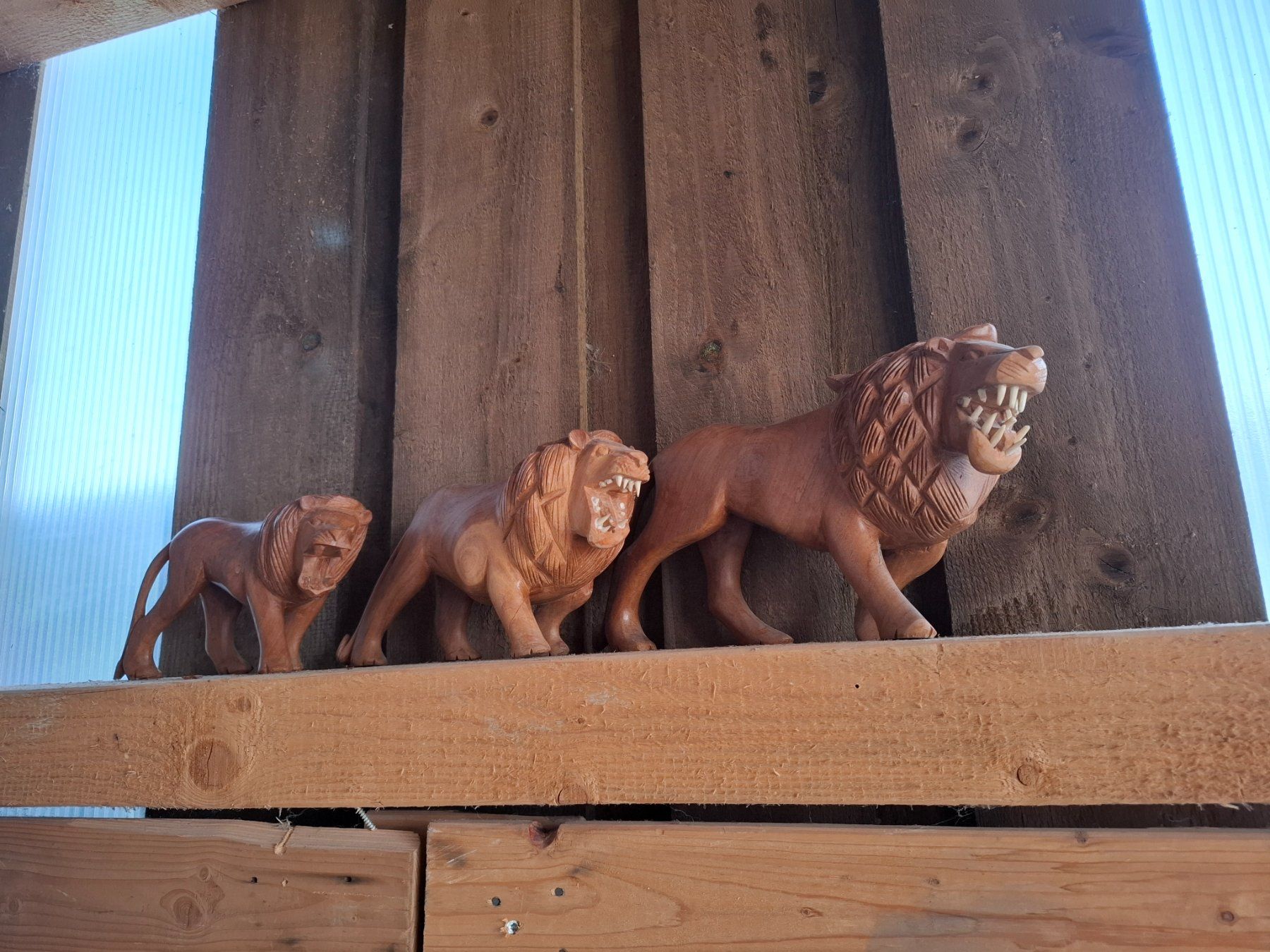 Skulpturen & Statuen: Holz/Löwe geschnitzt drei Stück – Gebraucht aus Steg im Tösstal von LARO14 7