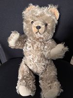 Teddybär 