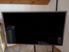 Samsung The Frame Screen UE43LS003AUXZG (2017) 43" defekt