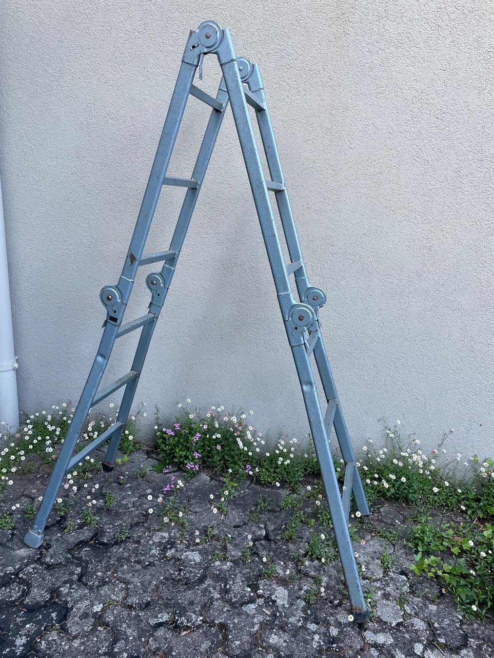 Scale: Leiter aus Stahl, klappbar – Usato da Zürich venduto da haeschesnonid