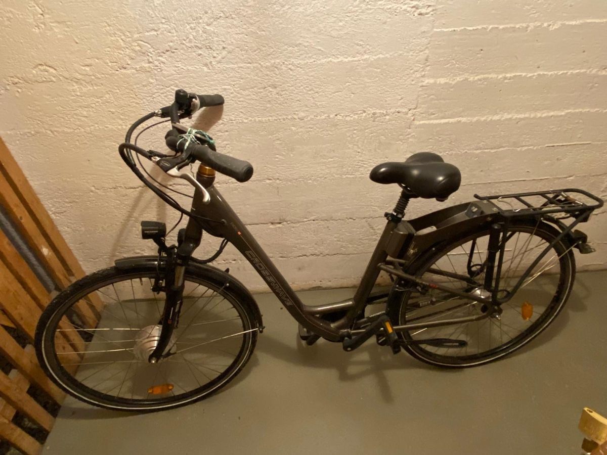 Crosswave Velos: Crosswave e-bike – Defekt aus Zürich von ItzySprsonic
