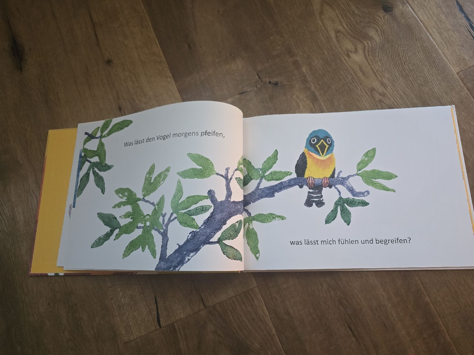 Bücher: Kinderbuch "Was macht die Farben bunt?" Marcus Pfister – Gebraucht aus Wittenbach von Tigerlili 4