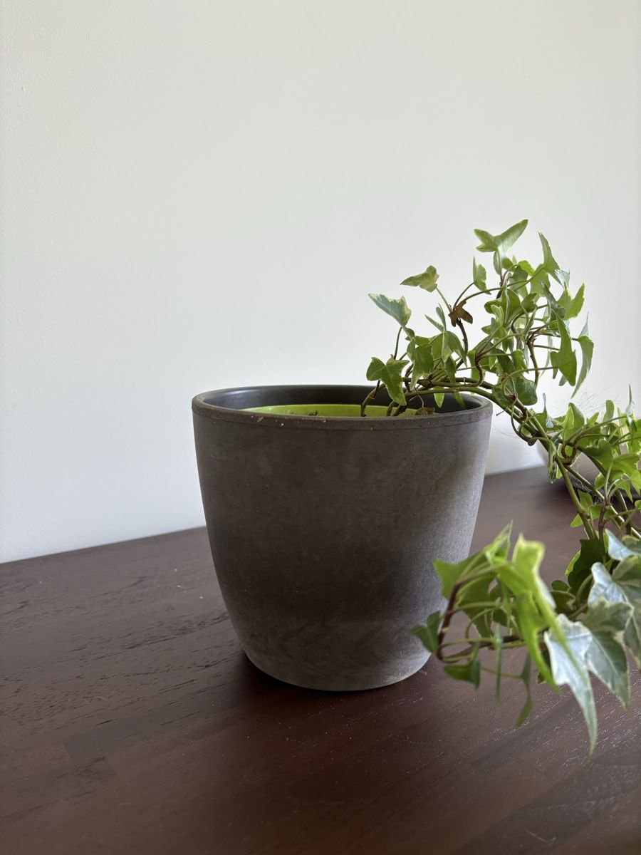 Vasi per fiori: Blumentopf | Pot grey (12.5cm Height x 14cm width) – Usato da Zürich venduto da cha_jz8q
