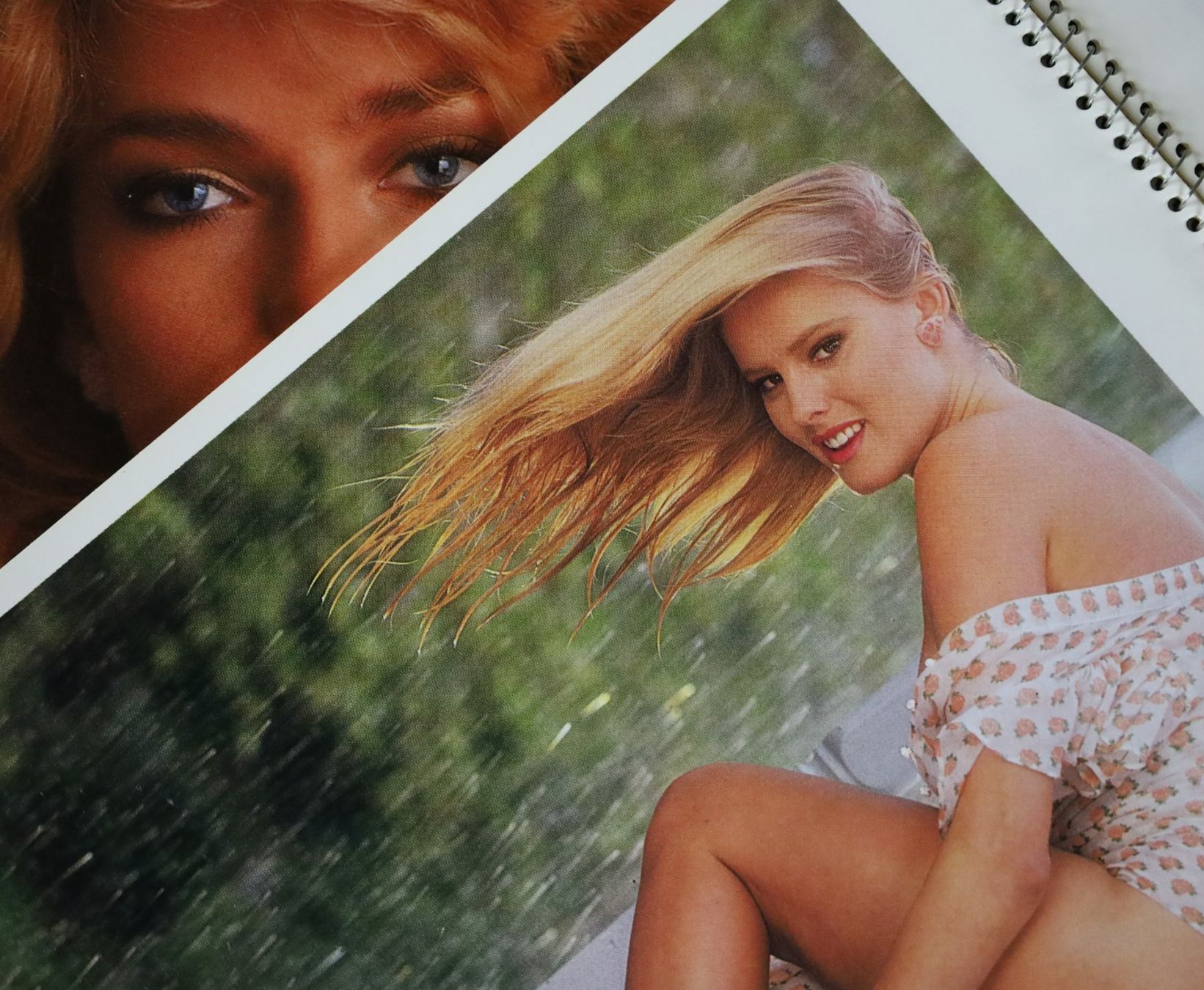Playboy Calendari: PLAYBOY Kalender 1984 – Usato da Birrwil venduto da brandschatz_birrwil 2