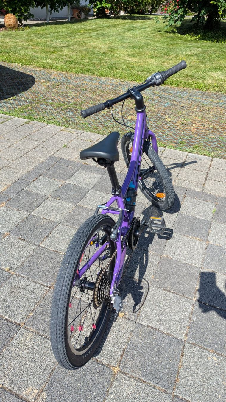 Naloo Biciclette: Naloo Chameleon 20'' – Usato da Veltheim AG venduto da Sandro68 3