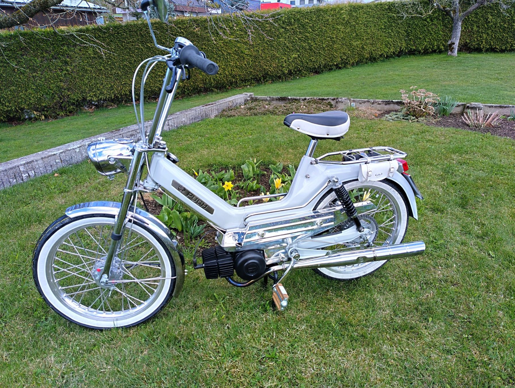 Puch Mofas: Puch Maxi S – Gebraucht aus Alterswil FR von bme_wn92 1