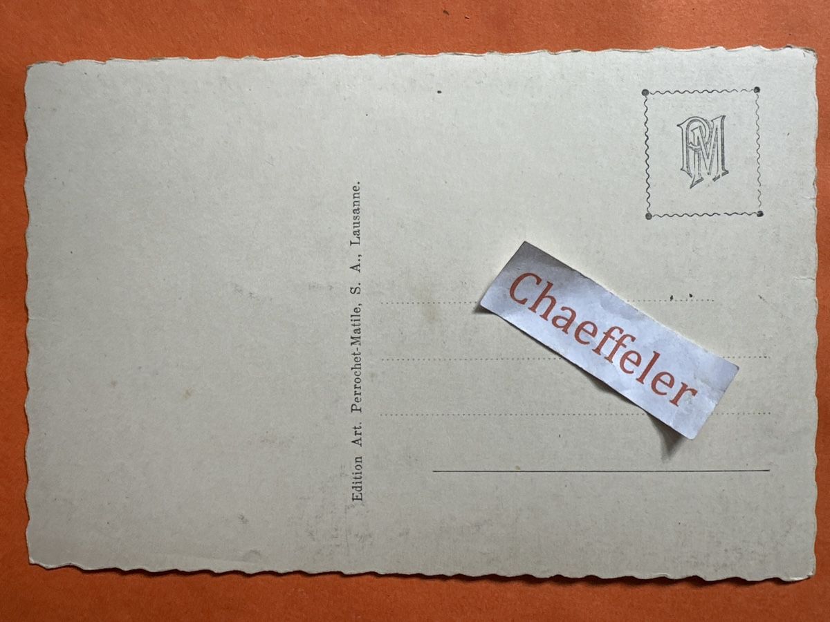Cartes postales: 11365  Champs de ski aux Pléides – D'occasion à Zürich par Chaeffeler 1