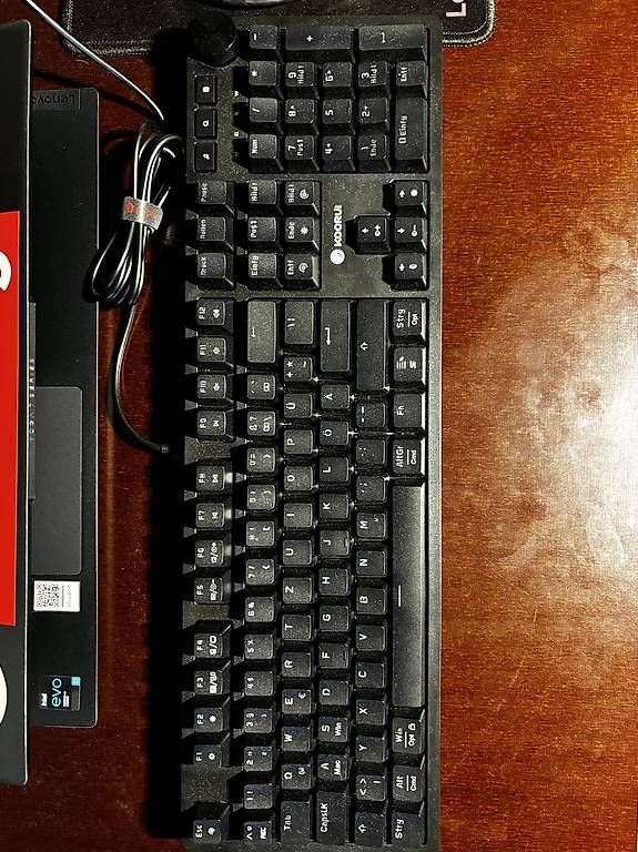 Tastiere: Koorui LED Gamingtastatur – Usato da Oberhofen TG venduto da ari_k2c6 1
