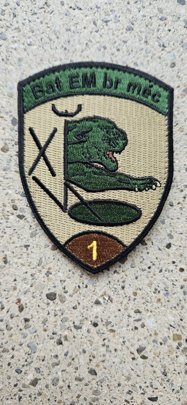 Schweizer Armee Placchette & Badge: *** Badge Bat Em br mèc 1 mit klett *** – Nuovo (secondo la descrizione) da Riedholz venduto da fr_sIruP