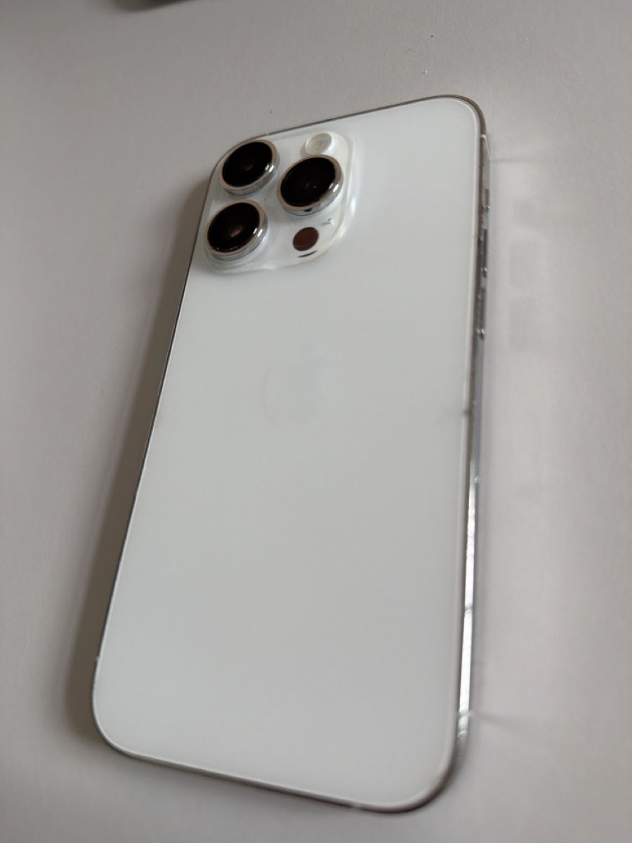 Apple Telefoni cellulari / Smartphones: iPhone 14 Pro silver 256GB – Usato da Winterthur venduto da daf_2pty 1