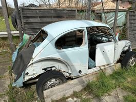 VW Käfer