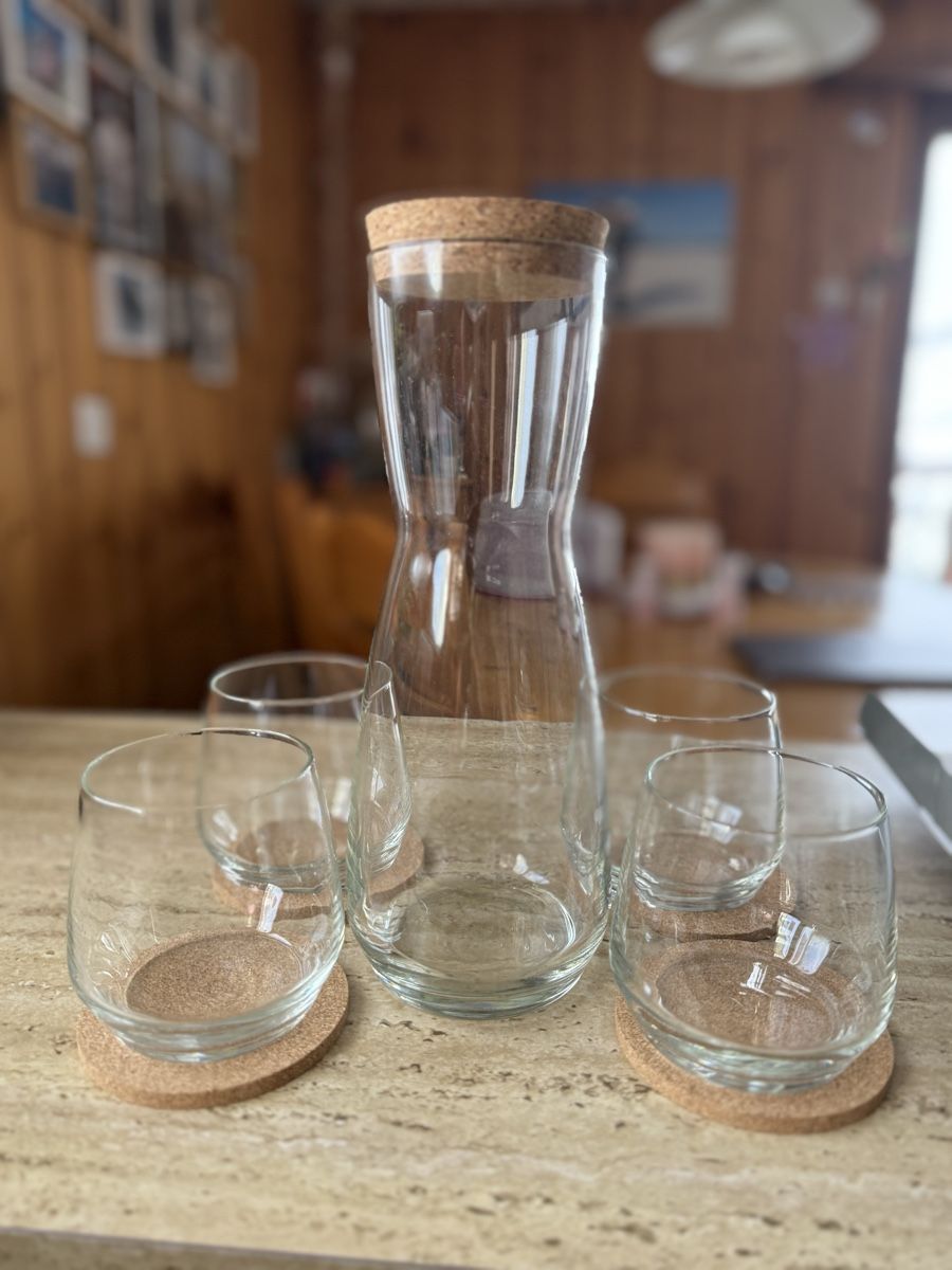 Bicchieri: Set 4 Gläser mit Wasserkaraffe – Usato da Les Enfers venduto da samoern 1
