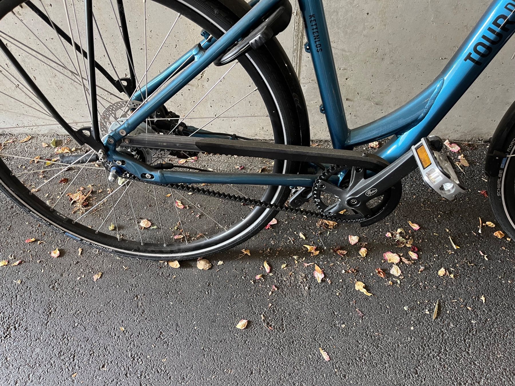 Velos: Fahrrad – Gebraucht aus Solothurn von Unicorn67 2