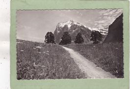 Grindelwald Wetterhorn