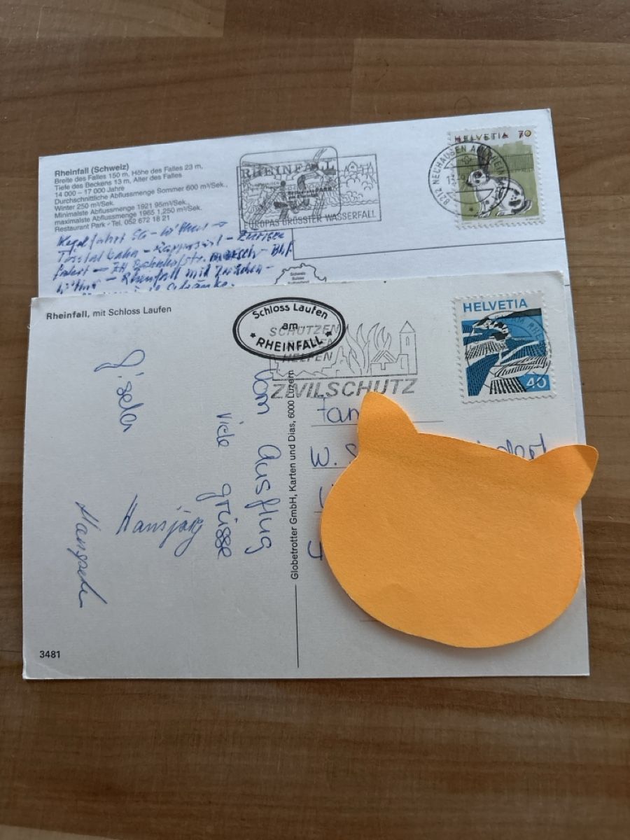 Cartoline postali: AK von Rheinfall – Usato da Rümlang venduto da Kartenpost1 1