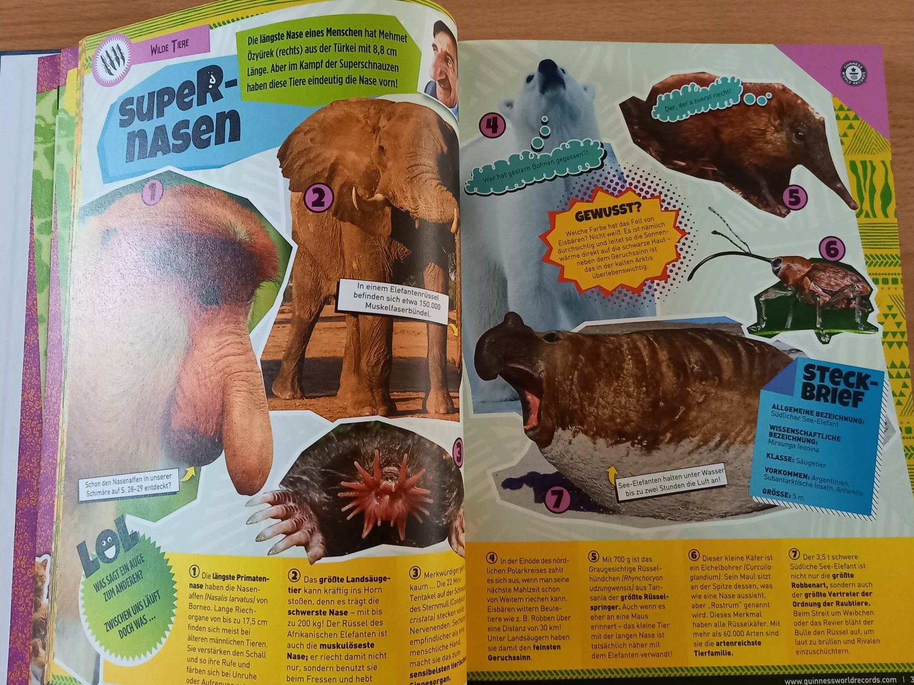 Libri: Guinness World Records Super Tiere Buch – Usato da Obernau venduto da Corolli 3