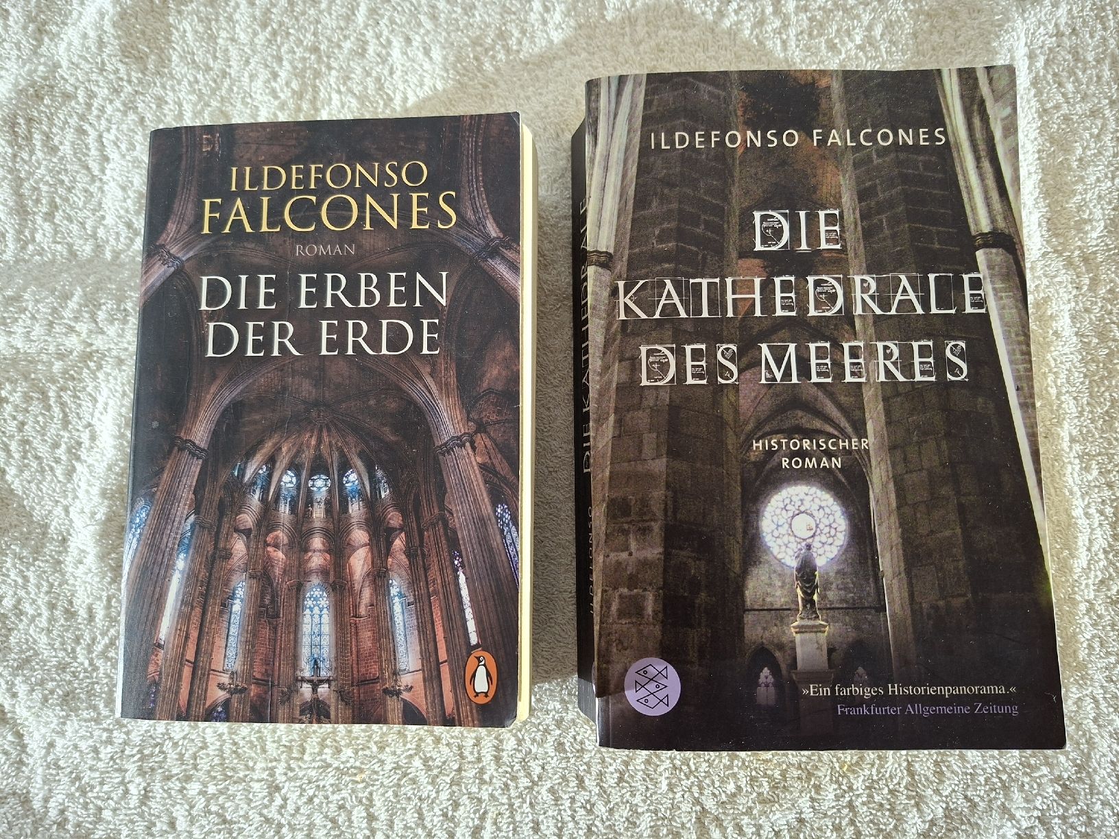 Libri: Ildefonso Falcones Historische Romane – Usato da Grindelwald venduto da carro5