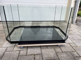 Terrarium