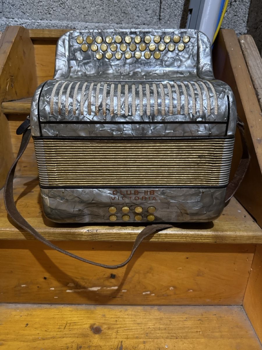 Hohner Strumenti musicali: Accordéon Hohner – Usato da Bouveret venduto da vit_br9v