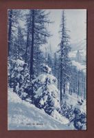 ST. MORITZ - 1911
