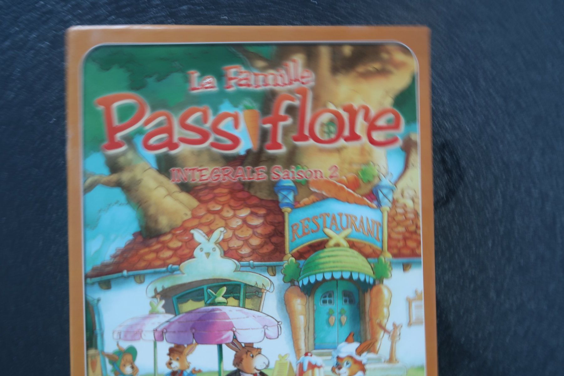 Tutti i DVDs: Coffret 5 DVDs    LA FAMILLE PASSIFLORE Saison 2  Intégrale – Difettoso da Porrentruy venduto da tupatup 1