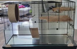 Cage homologuée pour Gerbilles avec tous les accessoires