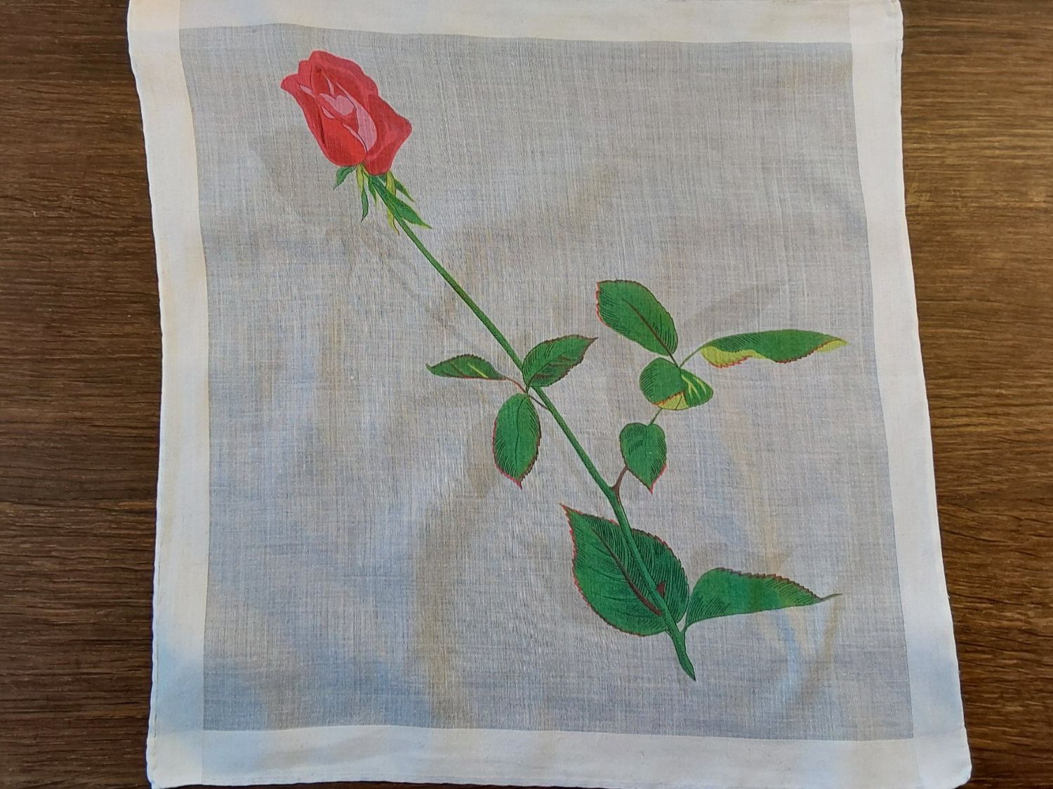 Altro in  Abbigliamento & Accessori: Taschentuch Motiv Rose – Usato da Köniz venduto da scopello12