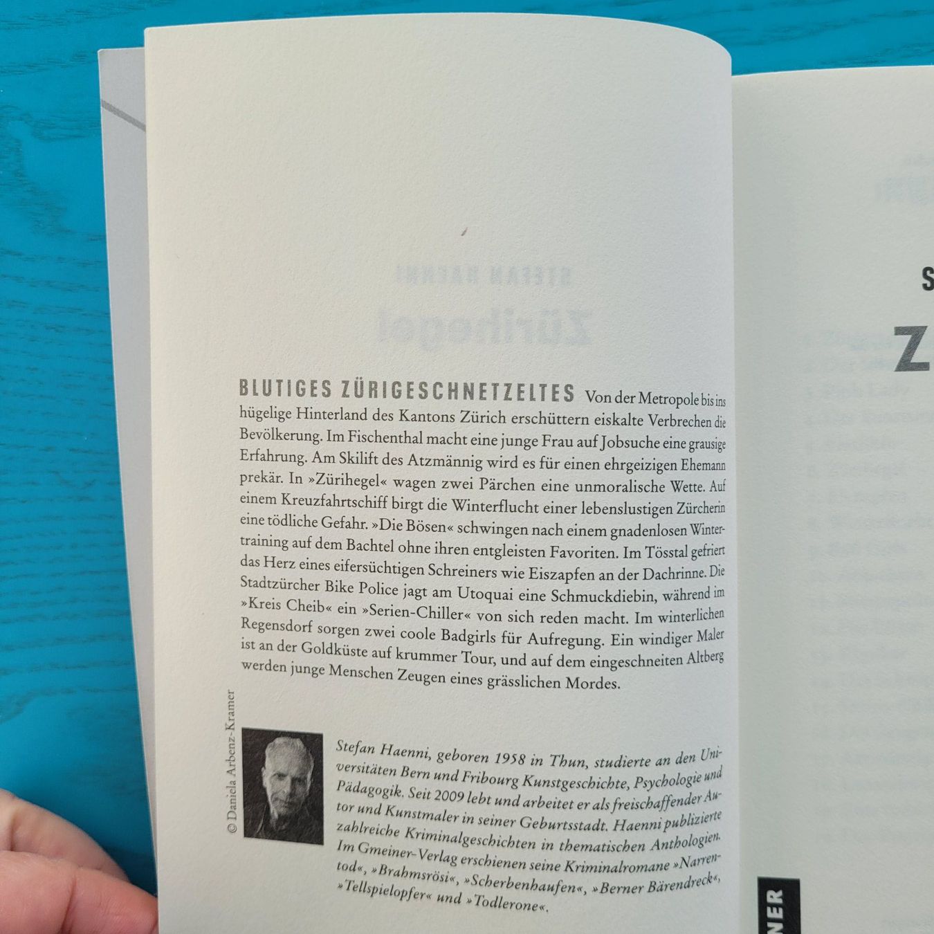 Libri: Zürihegel- Stefan Haenni – Usato da SCHÜBELBACH venduto da CoKaHa 1